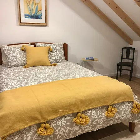 Zeca Holidays-atalaia Water Fall *